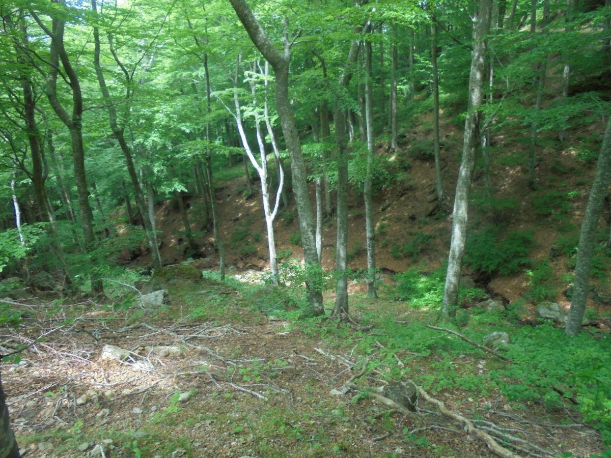 Villa El Correc Laroque-des-Albères Eksteriør bilde